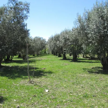 Quinta Do Prado