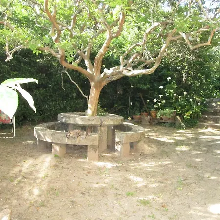 Quinta Do Prado * Mangualde
